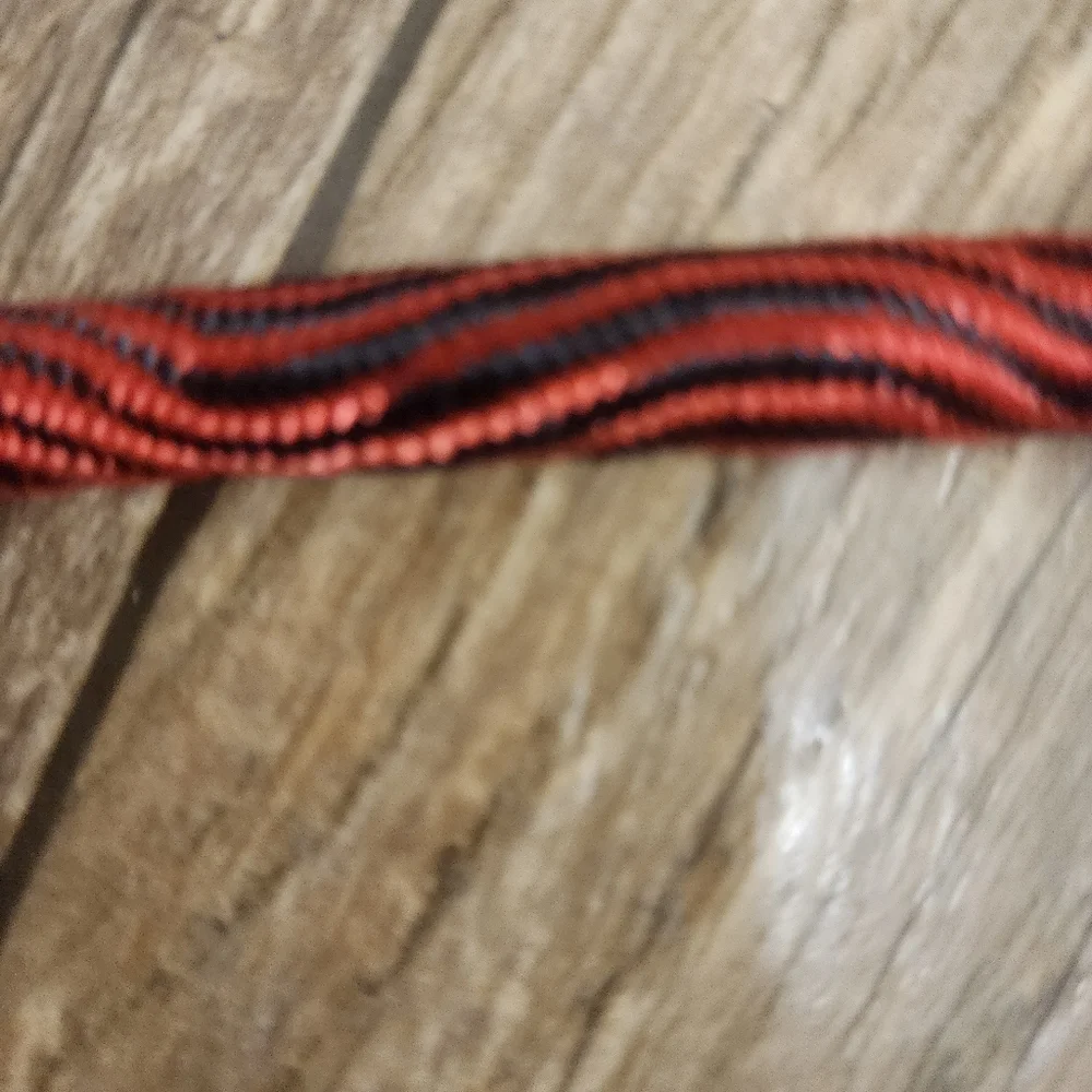 2-LEASHES COASTAL PET 6' HEAVY DUTY NYLON & CORDED / BRAIDED DOG LEASHES